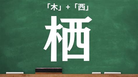 木 象|木へんに象で「橡」の読み方とは？使い方など簡単に。